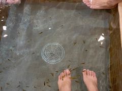 -中家鑫园温泉酒店鑫悦汤泉