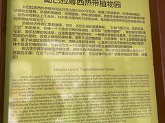 -呀路古热带植物园