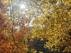 -元大都城垣遗址公园