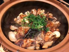 生焗三文鱼头-人间酒暖·Go blanc·烧鸟·深夜食堂(陆家嘴店)