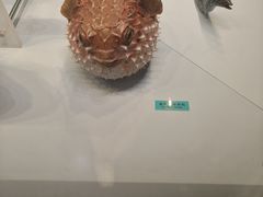 -天津自然博物馆