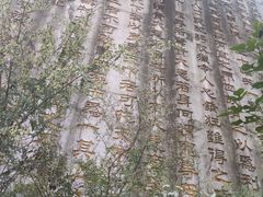 -圣莲山风景区