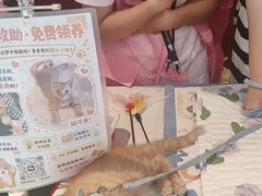 -上海长风大悦城