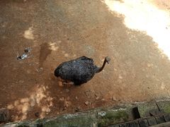 -昆明动物园