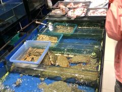 -侬佳蒸菜馆(听潮店)
