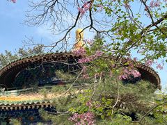 -潭柘寺景区