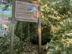 -石台牯牛降景区