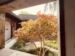 -秋霞圃