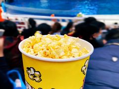-海合安天津极地海洋公园