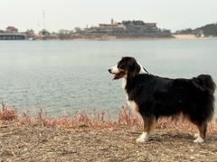 -北京金海湖景区