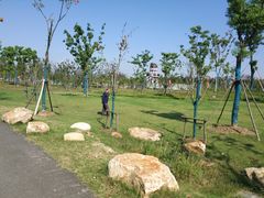 -上海长兴岛郊野公园