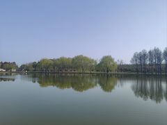 -合肥滨湖国家森林公园