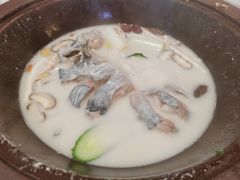-鲜念蒸汽石锅鱼(红山6979店)