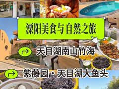 -紫藤园·天目湖大鱼头(南山竹海店)