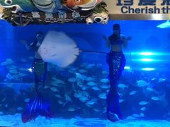 -成都浩海立方海洋公园