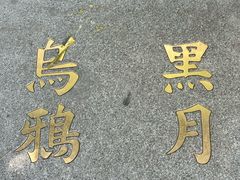 -古耳咖啡(北锣店)