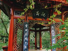 -棠湖公园