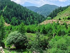 -芦芽山旅游度假区