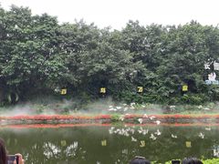 -广州长隆飞鸟乐园