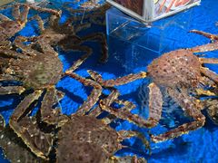 水产区-盒马鲜生(馥邦国际店)