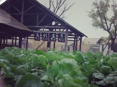 -乌村