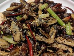 -陈家老院子·长春特色东北家宴(一匡街店)