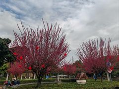 -西南交通大学(九里校区)