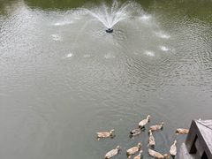 -宁波柏悦酒店·钱湖渔港