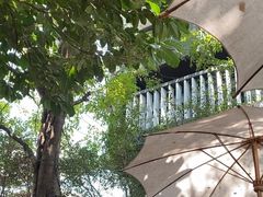 -Fern Forest Cafe