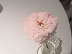 -眉州东坡(望京店)