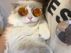 -Pets First伊珊娜洗护·精致美容·家庭式寄养(新会路店)