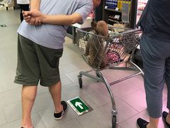 -Olé精品超市(海上世界店)