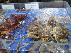 -船家渔(徐州北路店)