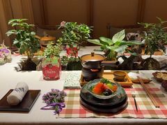 -叶叶菩提(太原别墅店)