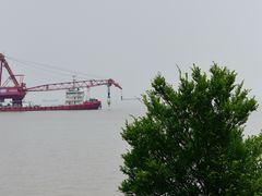 -上海滨江森林公园