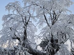 -瓦屋山景区