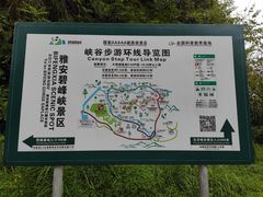 景点-碧峰峡风景区