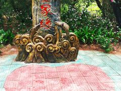 -北海金海湾红树林生态旅游区