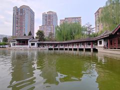 -团结湖公园