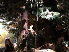 -陕西自然博物馆