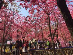 -昆明动物园