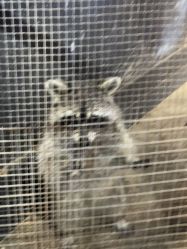 -酷嗒动物文化乐园(cutezoo西溪乐天城店)