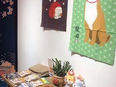 -柴迷FANS CLUB·柴犬狗咖·猫咖
