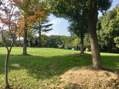 -玉山公园