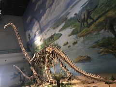 -自贡恐龙博物馆