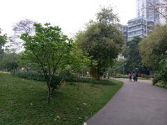 -晓港公园