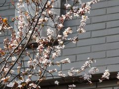 -三义和酒楼(千佛山店)