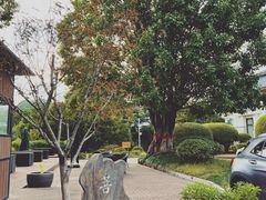 -福建鲤鱼洲酒店