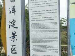 -白洋淀景区