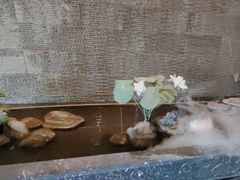 -遇涧·水疗SPA·泡澡搓背按摩SPA(王府井店)